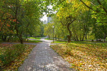 Similar image 21091839