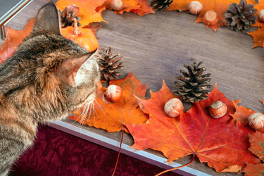 Similar image 21094544