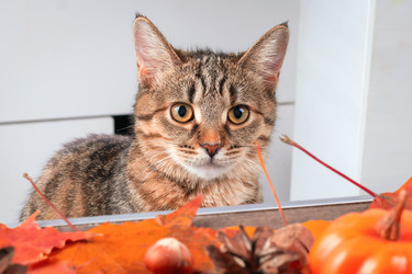 Similar image 21094545