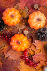 Similar image 21094554