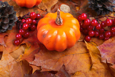 Similar image 21094555