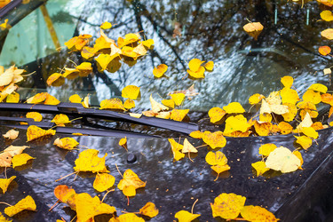 Similar image 21094557