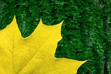 Similar image 21094558