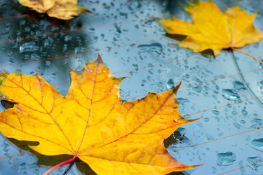 Similar image 21094559