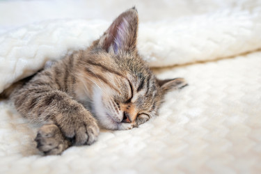 Similar image 21094560