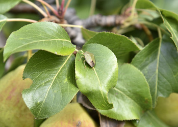 Similar image 21092079