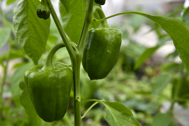 Similar image 21092082