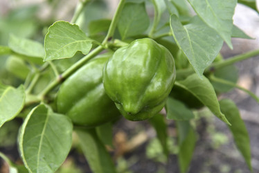 Similar image 21092083