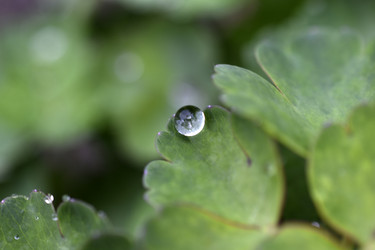 Similar image 21092086