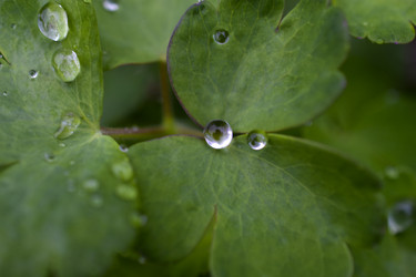 Similar image 21092087