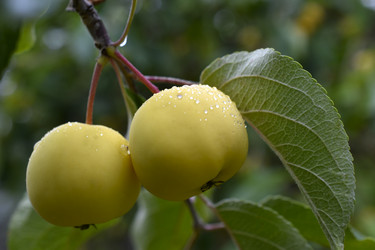 Similar image 21092088