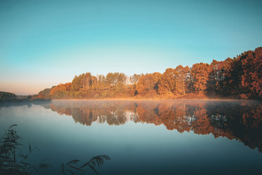 Similar image 21094561