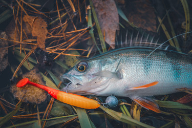 Similar image 21094567