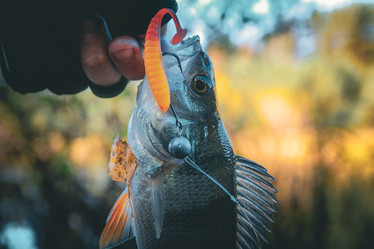 Similar image 21094568