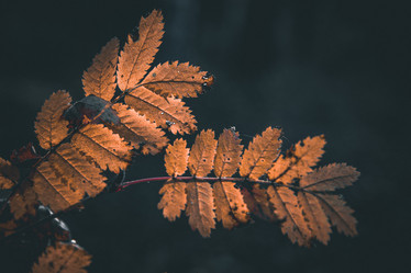 Similar image 21094570