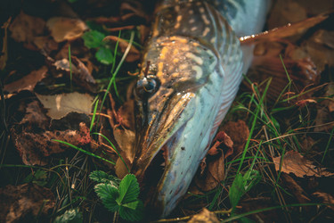 Similar image 21094571