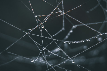 Similar image 21094572