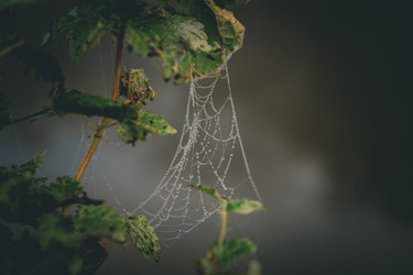 Similar image 21094573