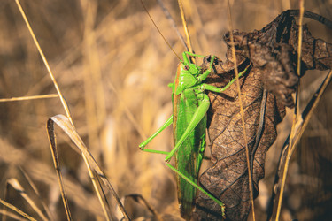 Similar image 21094575