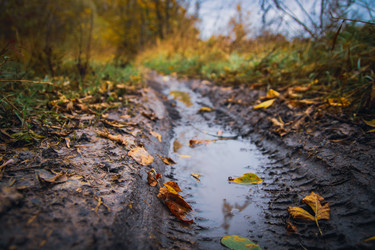 Similar image 21094576