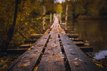 Similar image 21094579