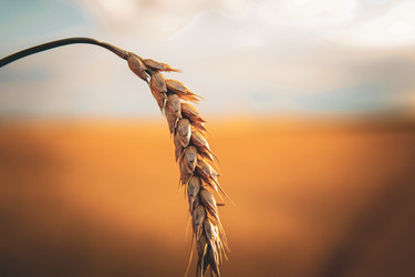 Similar image 21094580