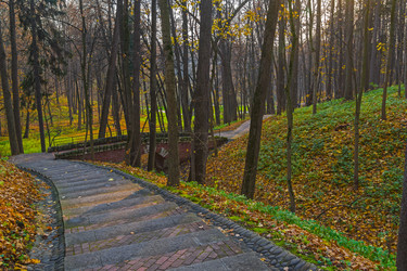 Similar image 21091775