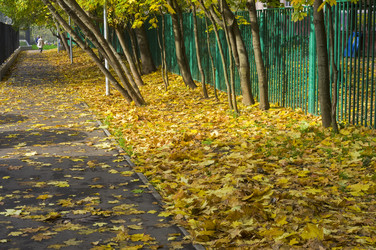 Similar image 21091776