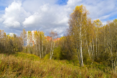 Similar image 21091782