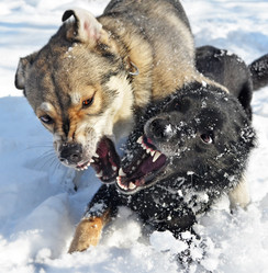 Similar image 21094297