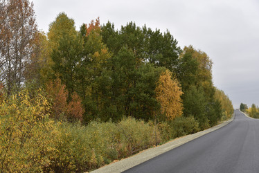 Similar image 21092114