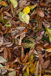 Similar image 21092263