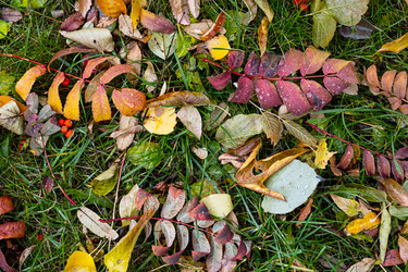 Similar image 21092264