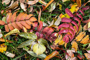 Similar image 21092265