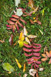 Similar image 21092268