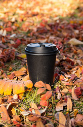 Similar image 21092275