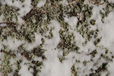 Similar image 21092283