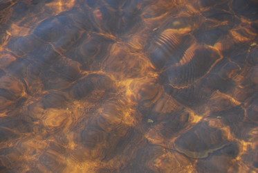 Similar image 21092285