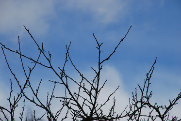 Similar image 21092289