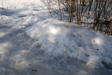 Similar image 21092292