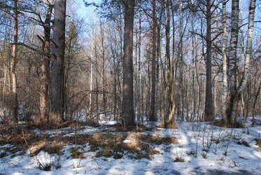 Similar image 21092294