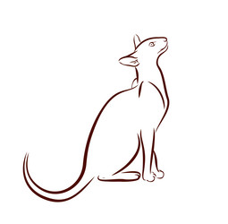 Similar image 21094280