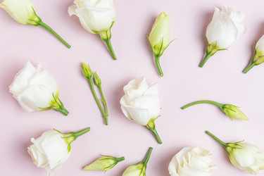 Similar image 21098211