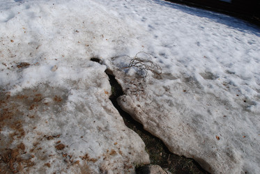 Similar image 21092300