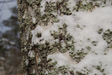 Similar image 21092301