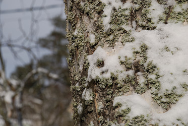 Similar image 21092303