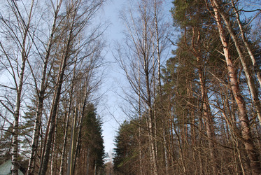 Similar image 21092305