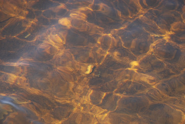 Similar image 21092307