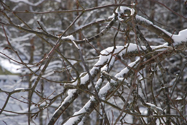 Similar image 21092308