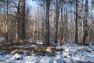 Similar image 21092314